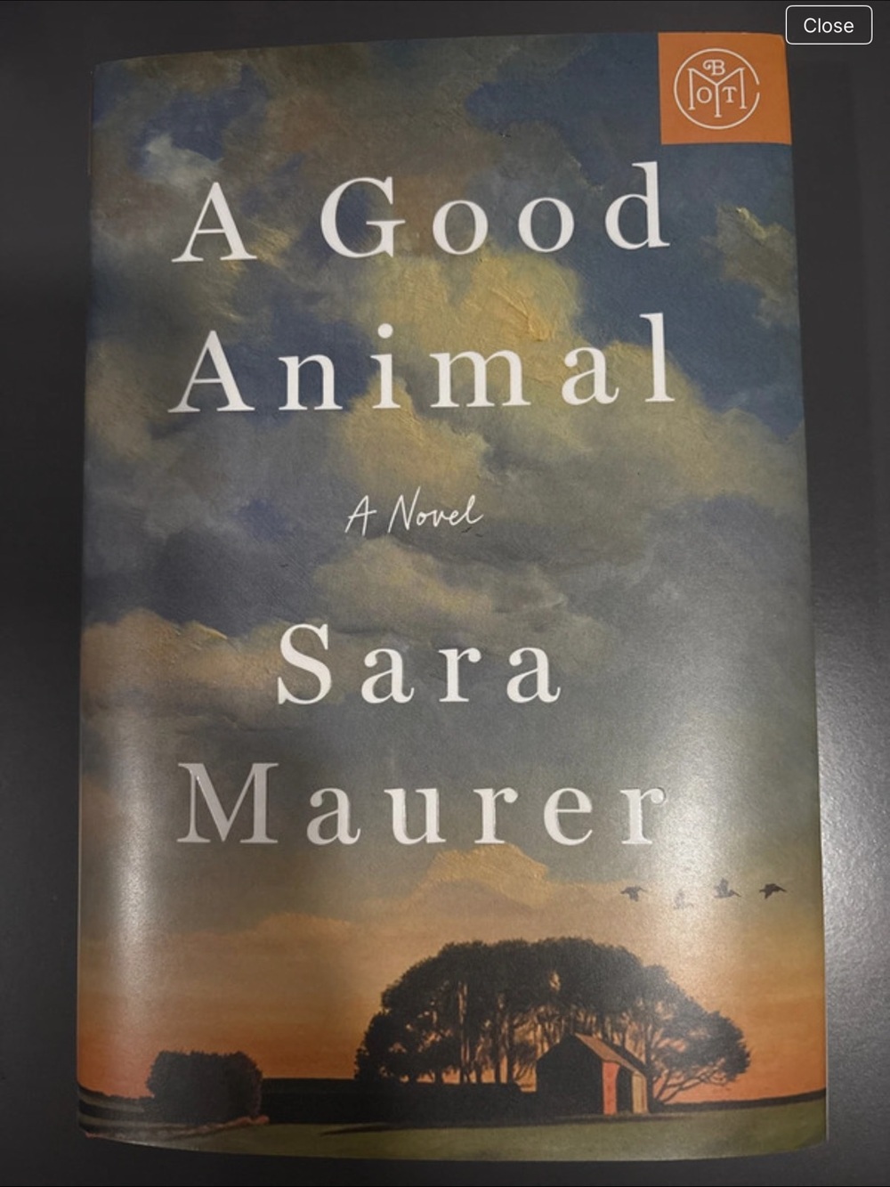 BOTM A Good Animal by Sara Maurer Book